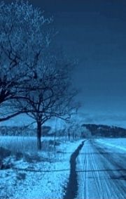 minnesota database